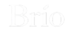 brio logo